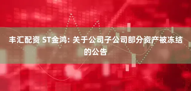 丰汇配资 ST金鸿: 关于公司子公司部分资产被冻结的公告