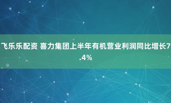 飞乐乐配资 喜力集团上半年有机营业利润同比增长7.4%